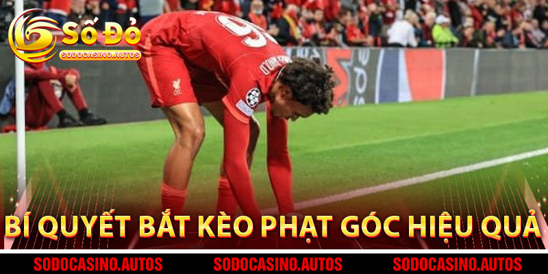 Bí Quyết Bắt Kèo Phạt Góc Hiệu Quả