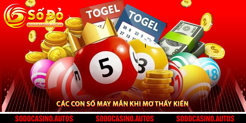 Các Con Số May Mắn Khi Mơ Thấy Kiến