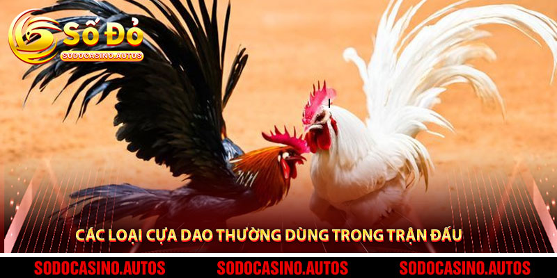 Các Loại Cựa Dao Thường Dùng Trong Trận Đấu