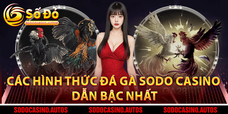 Các hình thức đá gà Sodo Casino hấp dẫn bậc nhất