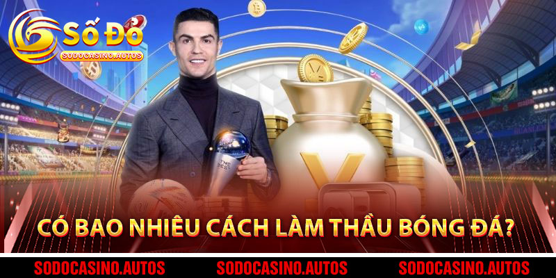 Có Bao Nhiêu Cách Làm Thầu Bóng Đá?