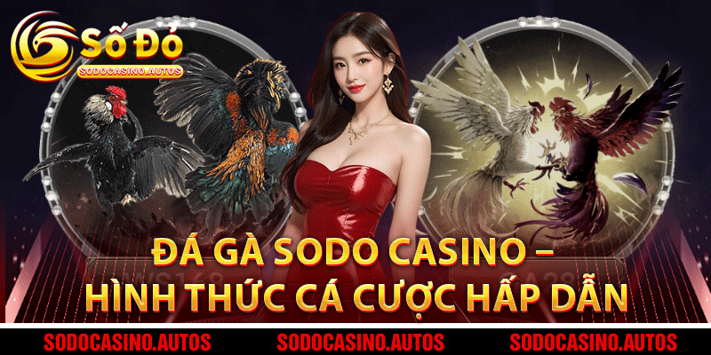 Đá Gà Sodo Casino – Hình Thức Cá Cược Hấp Dẫn Không Thể Bỏ Lỡ