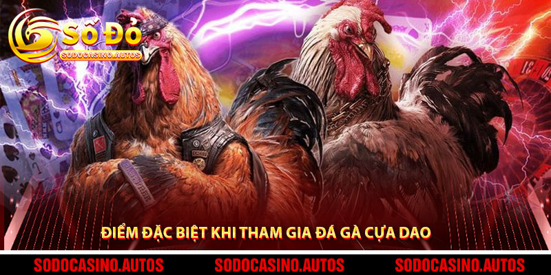 Điểm Đặc Biệt Khi Tham Gia Đá Gà Cựa Dao