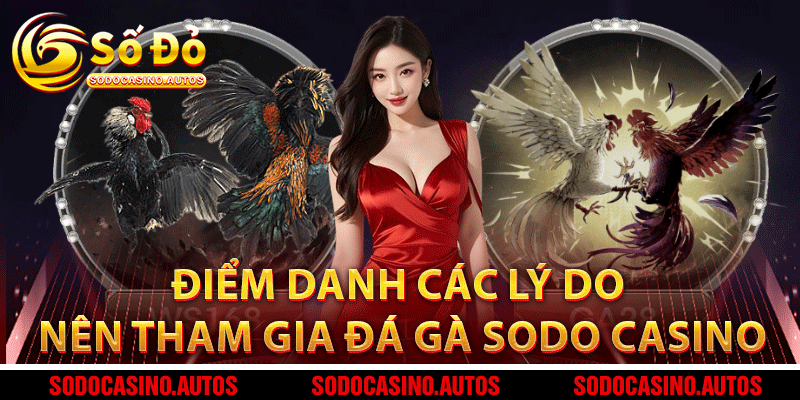 Điểm danh các lý do nên tham gia đá gà Sodo Casino