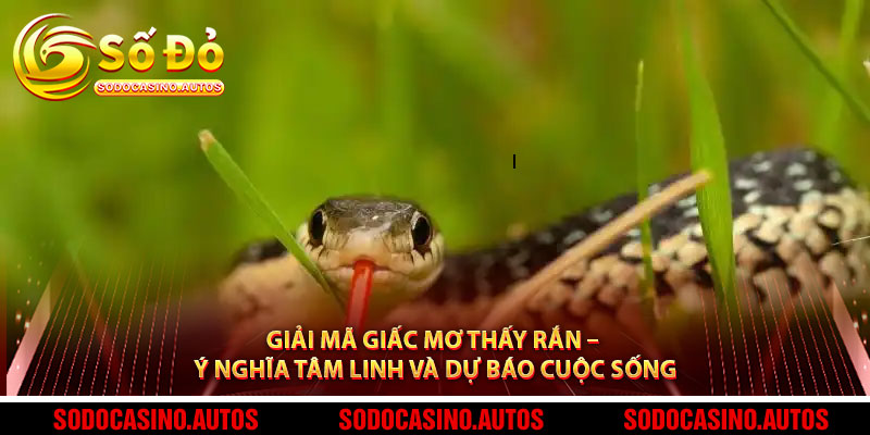 Giải Mã Giấc Mơ Thấy Rắn – Ý Nghĩa Tâm Linh Và Dự Báo Cuộc Sống