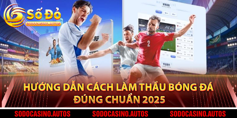 Hướng Dẫn Cách Làm Thầu Bóng Đá Đúng Chuẩn 2025