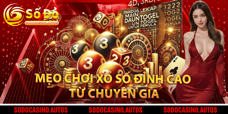 Bí quyết chơi xổ số hiệu quả từ các chuyên gia hàng đầu.