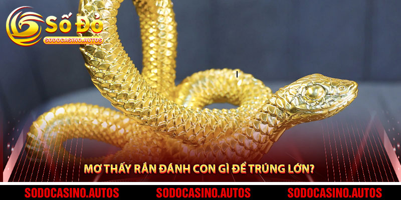 Mơ Thấy Rắn Đánh Con Gì Để Trúng Lớn?