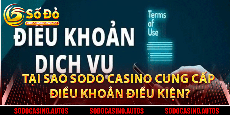 Tại sao Sodo Casino cung cấp điều khoản điều kiện?