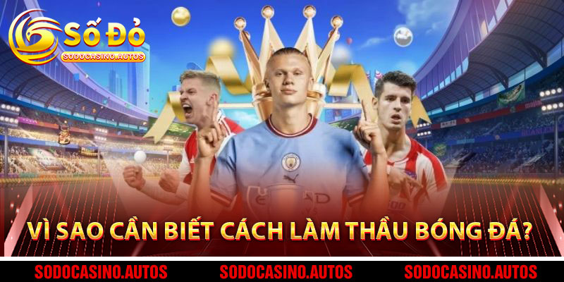 Vì Sao Cần Biết Cách Làm Thầu Bóng Đá?