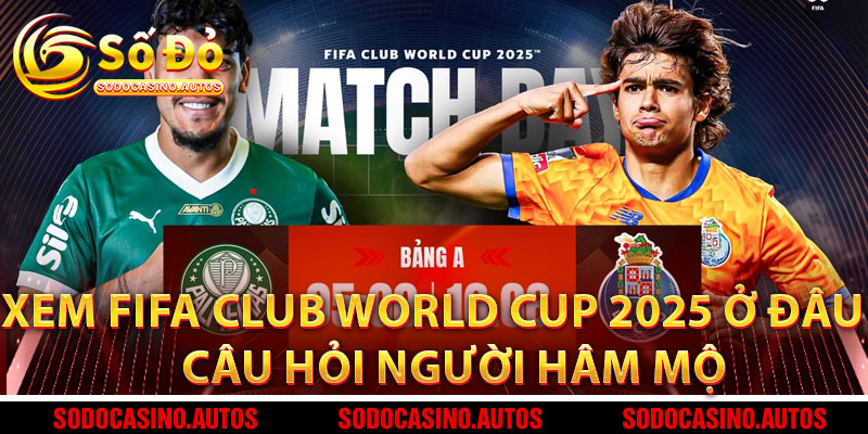 Xem FIFA Club World Cup 2025 Ở Đâu – Câu Hỏi Của Hàng Triệu Người Hâm Mộ