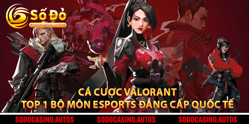 Cá Cược Valorant – Top 1 Bộ Môn Esports Đẳng Cấp Quốc Tế
