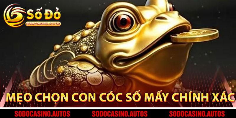 Mẹo Chọn Con Cóc Số Mấy Chính Xác Từ Sodo Casino
