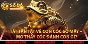 Tất Tần Tật Về Con Cóc Số Mấy – Mơ Thấy Cóc Đánh Con Gì Để Gặp May?