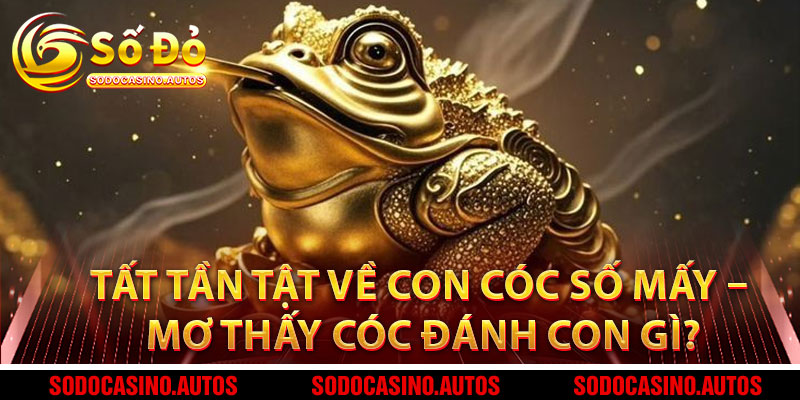 Tất Tần Tật Về Con Cóc Số Mấy – Mơ Thấy Cóc Đánh Con Gì Để Gặp May?
