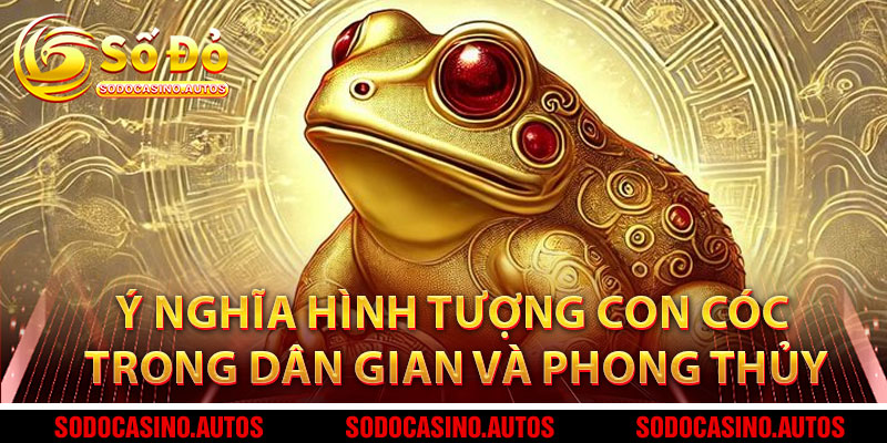 Ý Nghĩa Hình Tượng Con Cóc Trong Dân Gian Và Phong Thủy